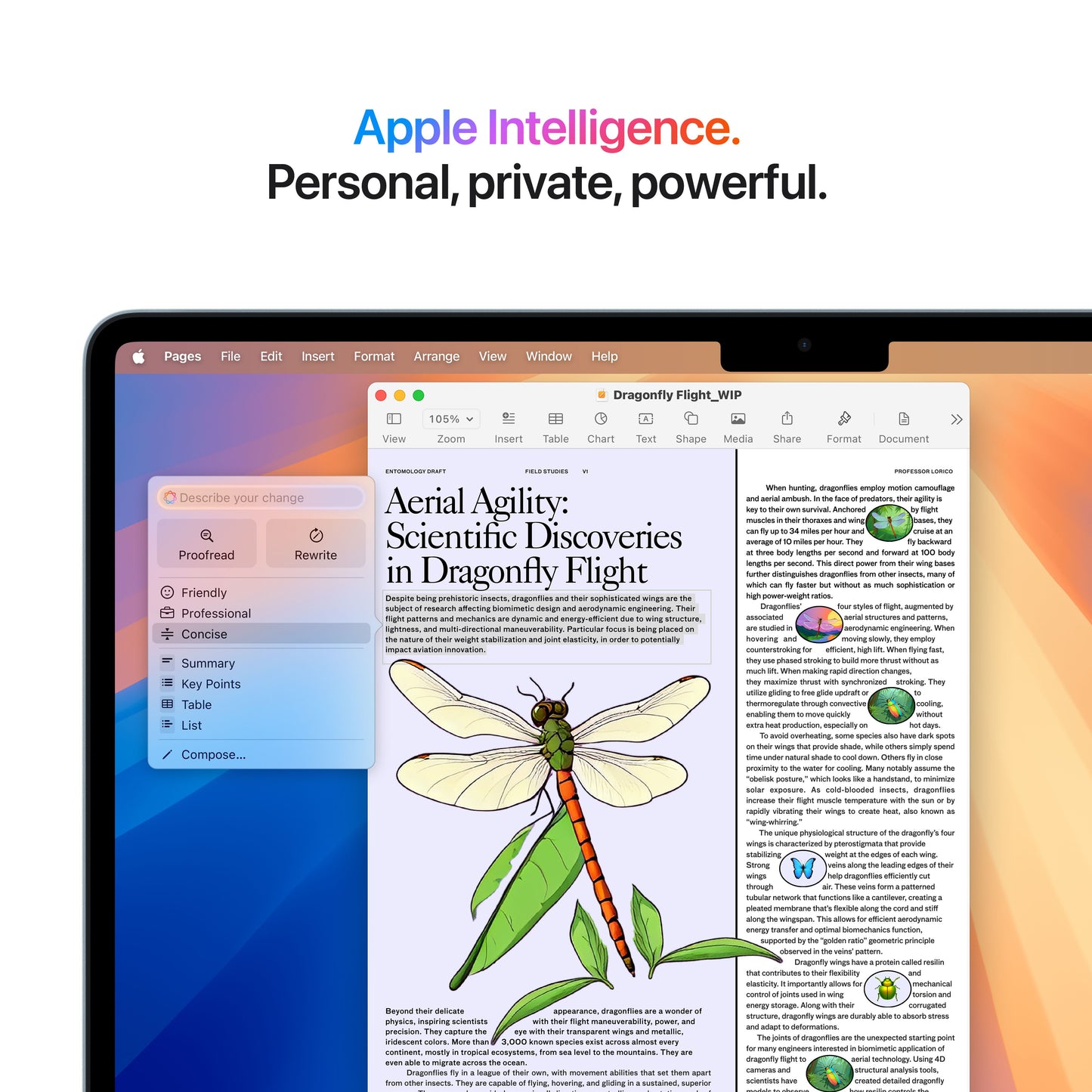 13-inch MacBook Air (M4)